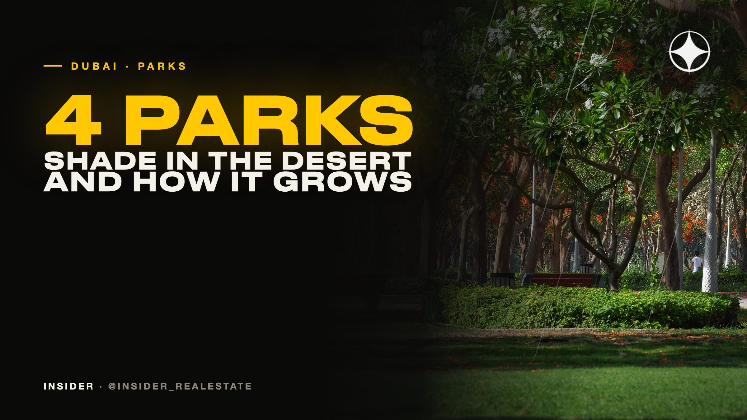 Best Parks in Dubai: Mushrif, Zabeel, Creek Park and Al Mamzar Beach Park Compared