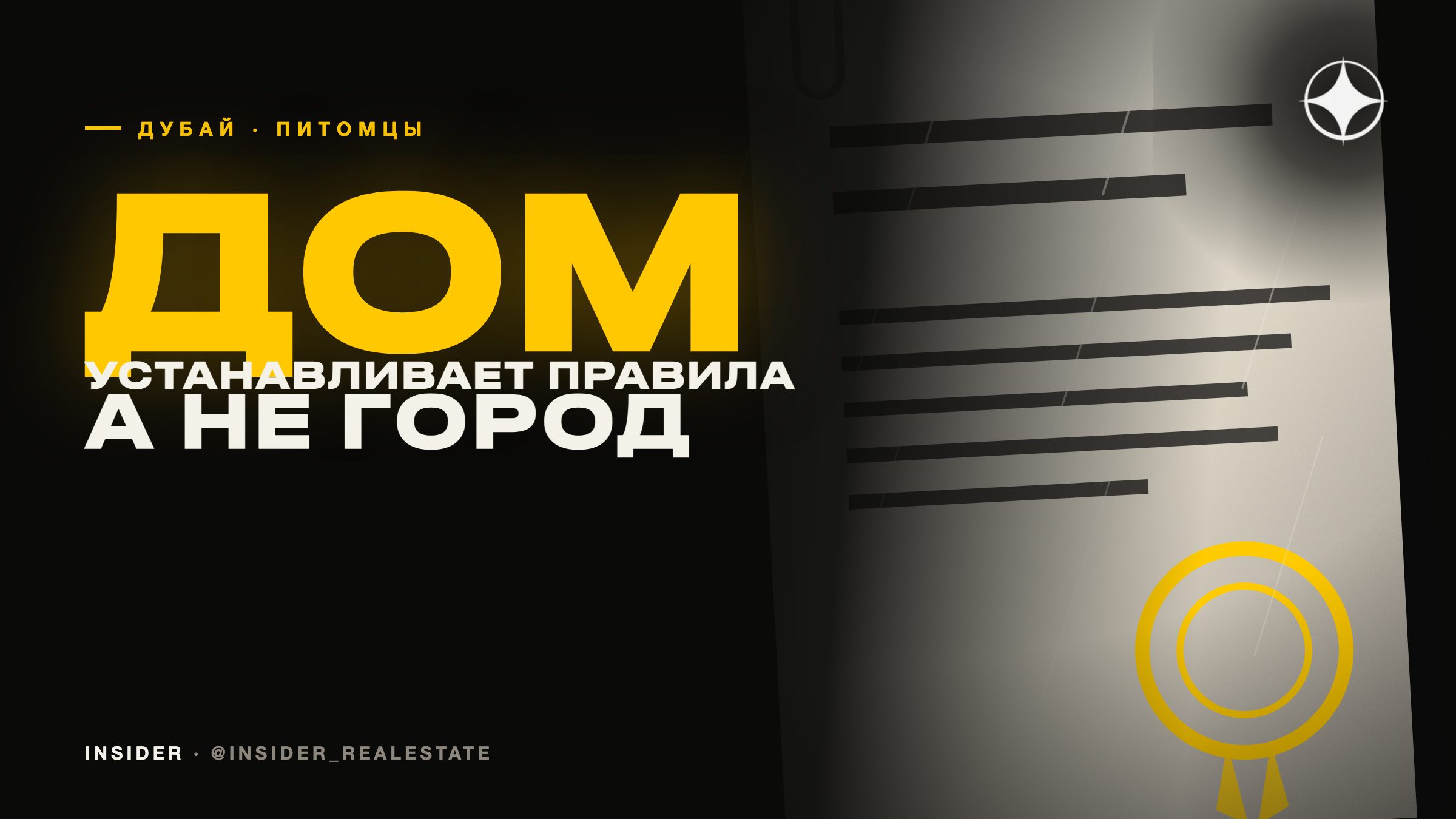 Питомец в квартире в Дубае: правила устанавливает дом, а не город