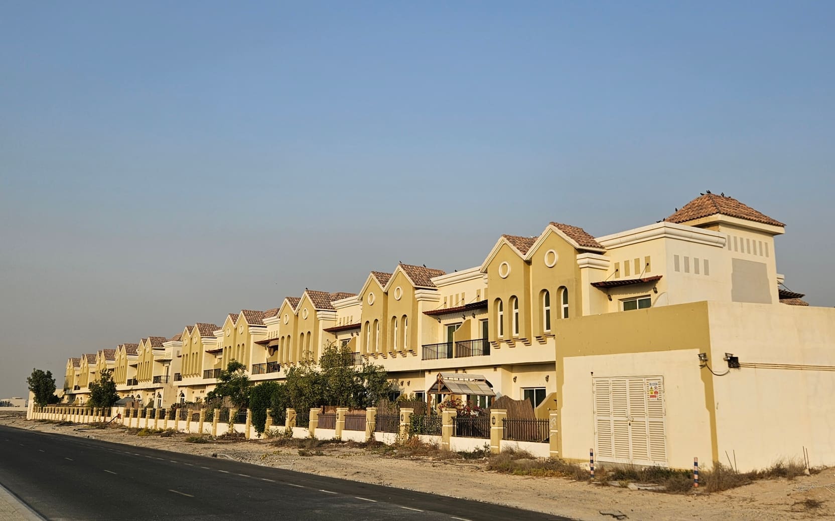 Sahara Meadows