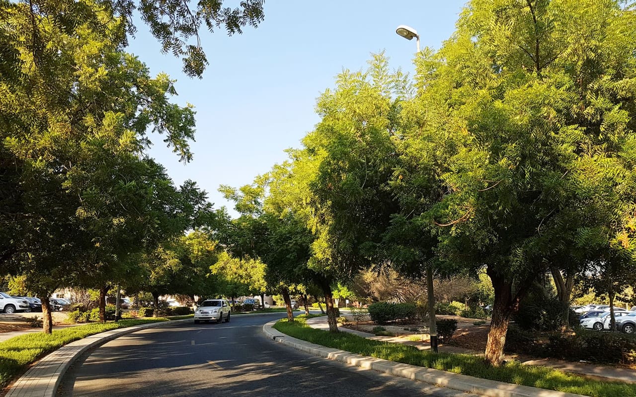 Sola Residence