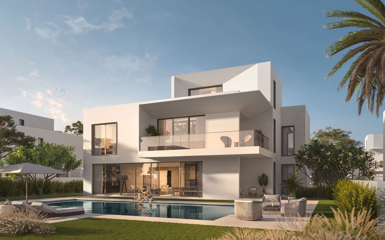 Palmiera 3