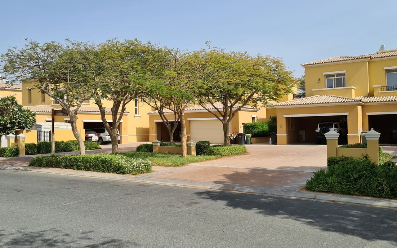 Palmera