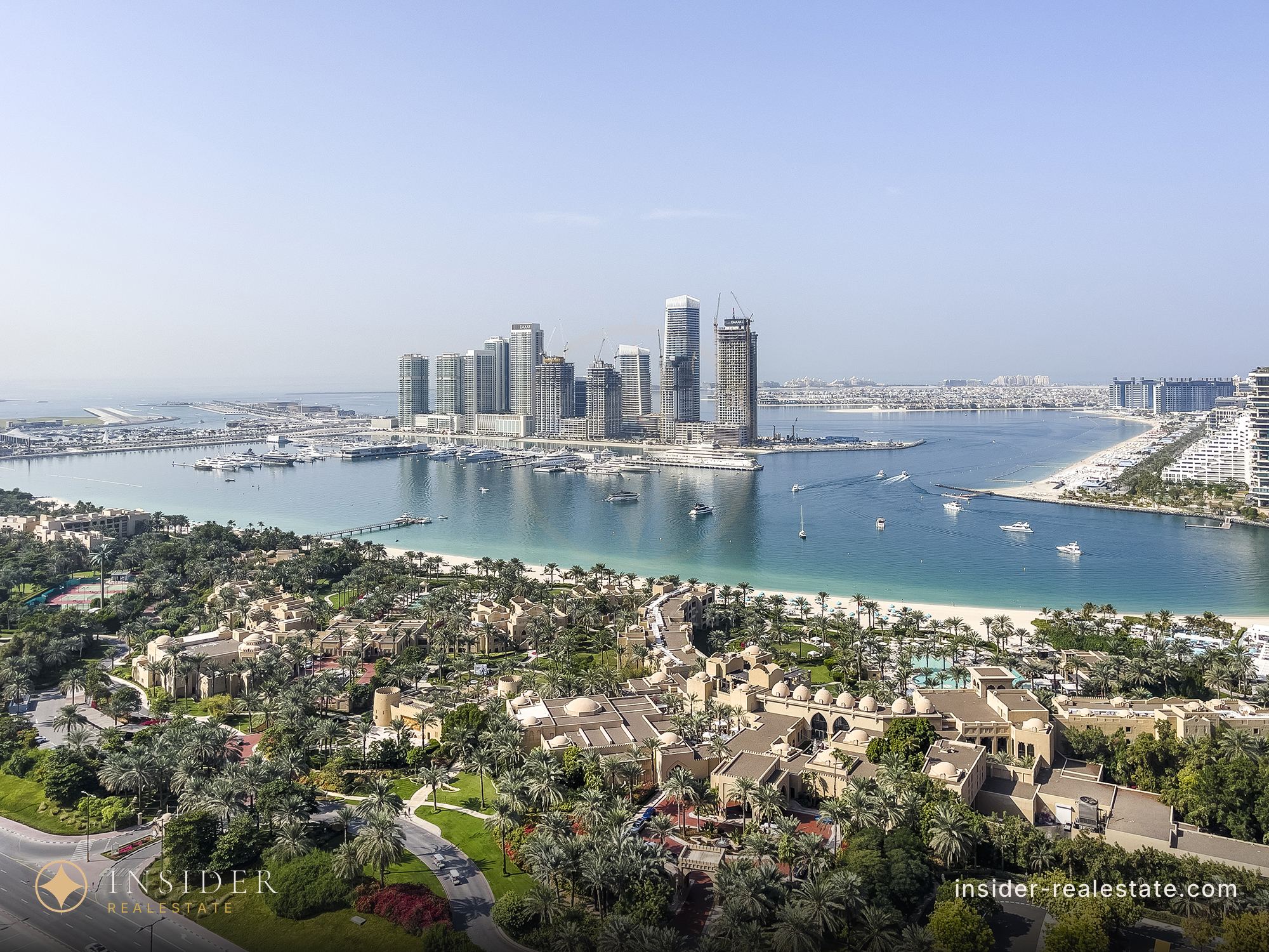Palm View