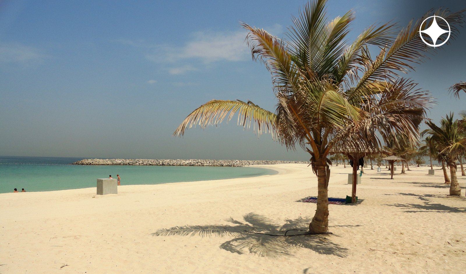 Пляжный парк Аль-Мамзар (Al Mamzar Beach Park): пальмы у Персидского залива