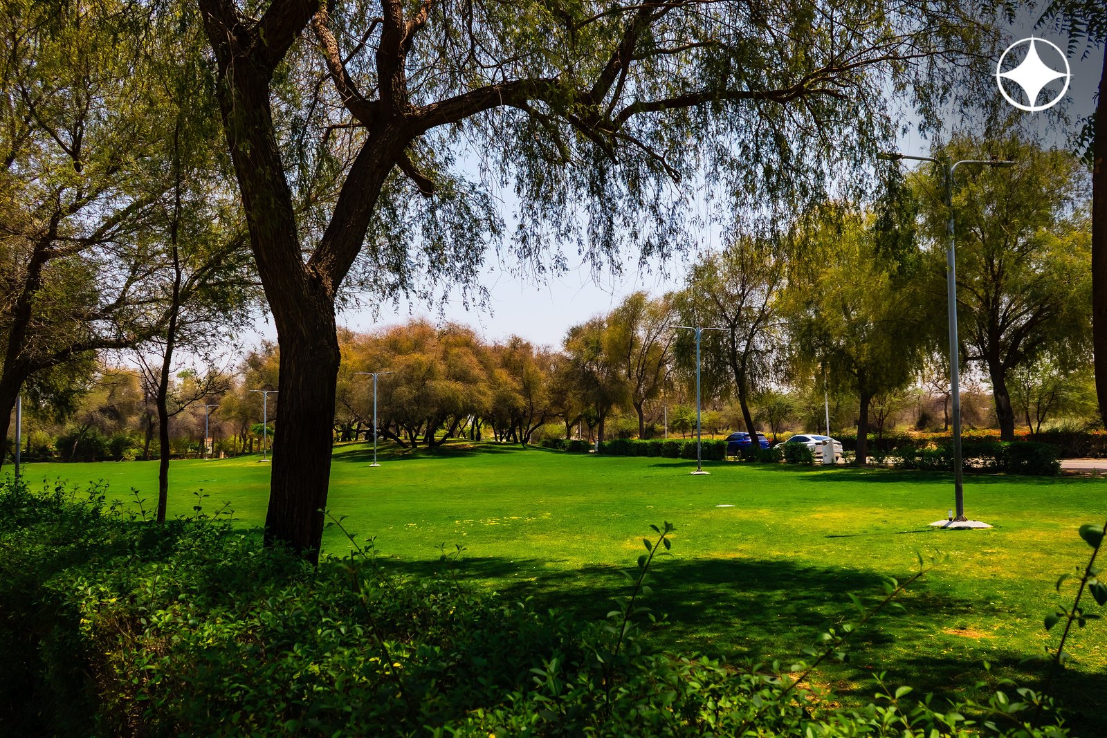 Парк Мушриф (Mushrif Park): газоны в тени гафа